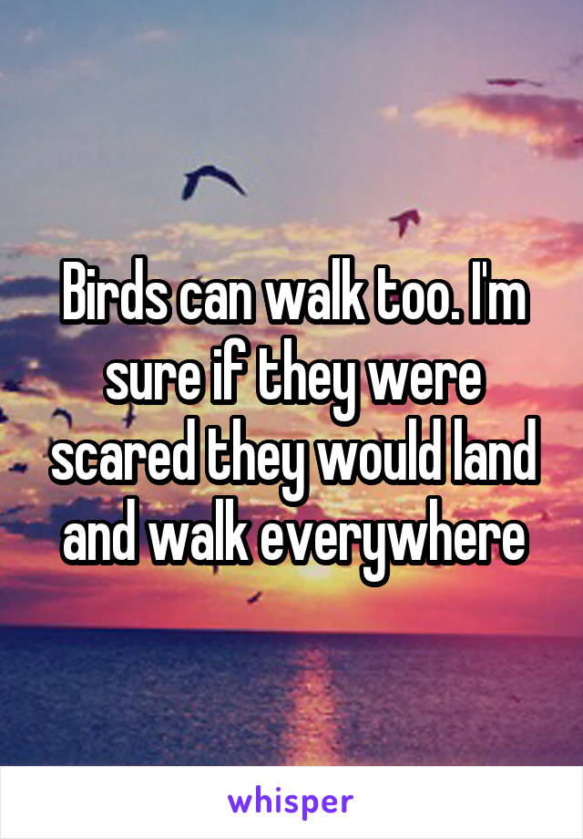 Birds can walk too. I'm sure if they were scared they would land and walk everywhere