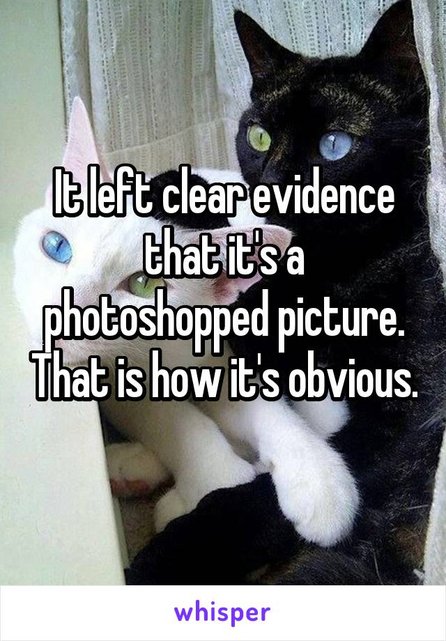 It left clear evidence that it's a photoshopped picture. That is how it's obvious. 