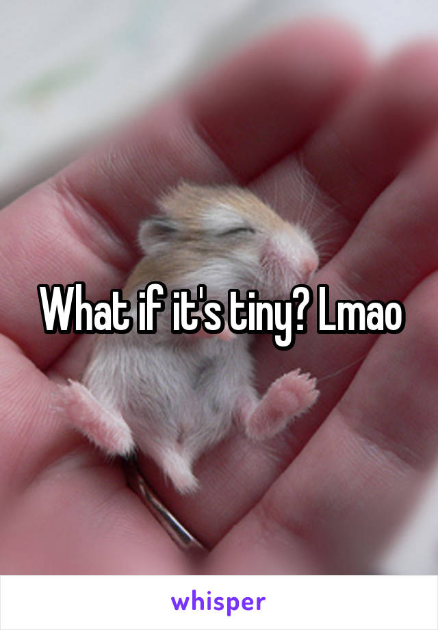 What if it's tiny? Lmao