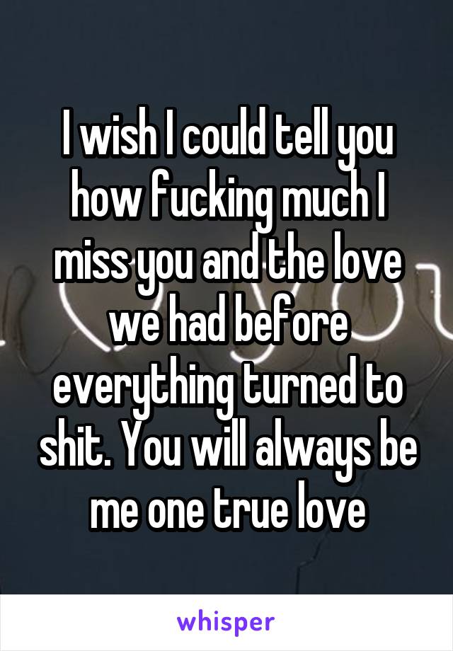 I wish I could tell you how fucking much I miss you and the love we had before everything turned to shit. You will always be me one true love