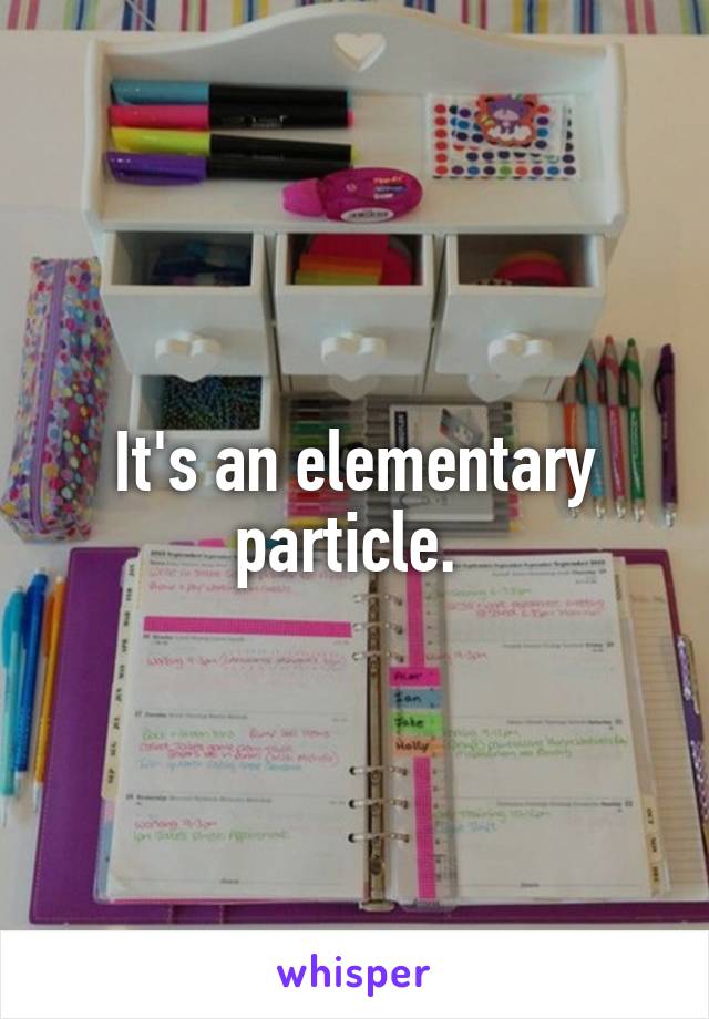 It's an elementary particle. 