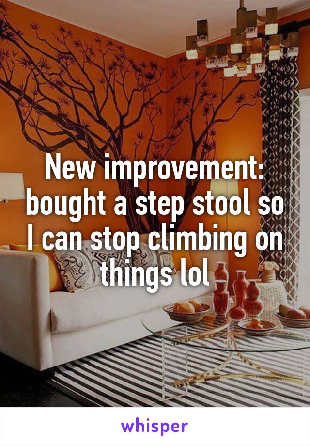New improvement: bought a step stool so I can stop climbing on things lol