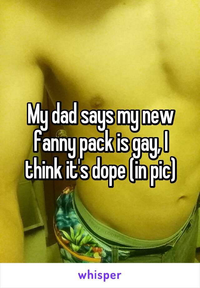 My dad says my new fanny pack is gay, I think it's dope (in pic)