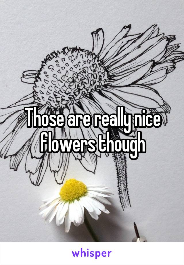 Those are really nice flowers though