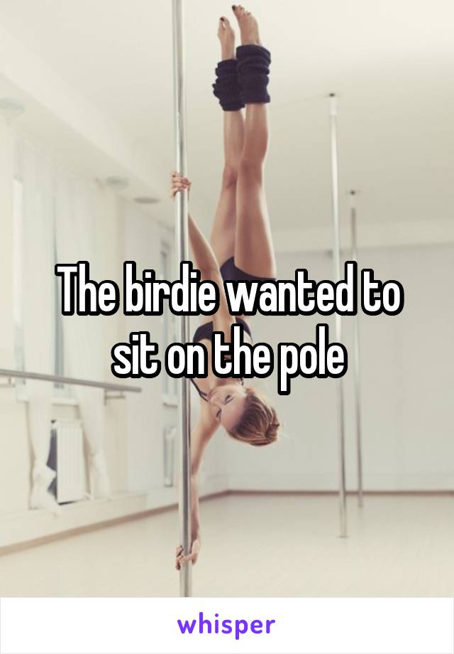 The birdie wanted to sit on the pole