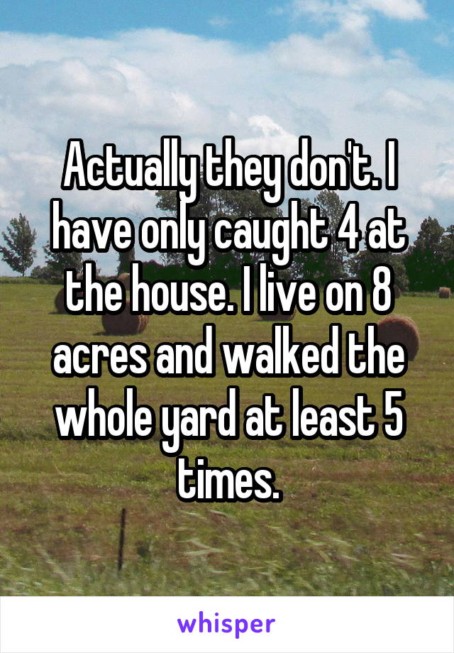 Actually they don't. I have only caught 4 at the house. I live on 8 acres and walked the whole yard at least 5 times.