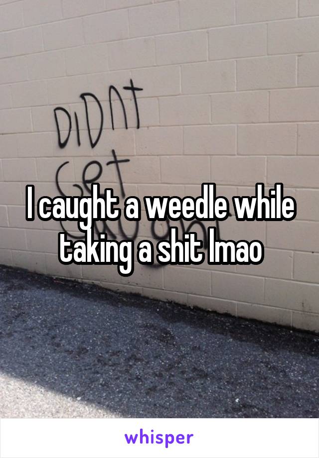 I caught a weedle while taking a shit lmao