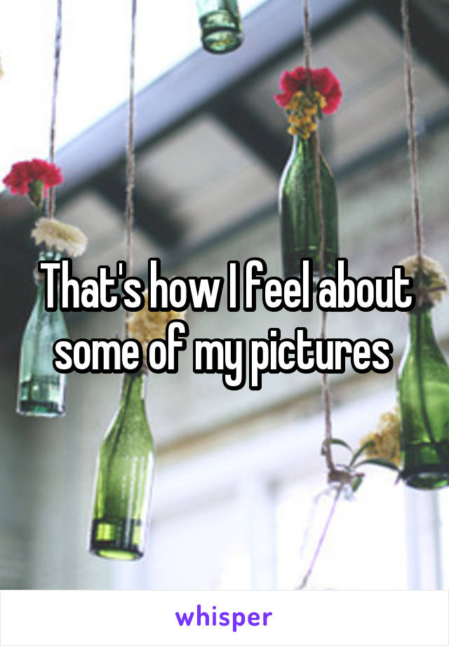 That's how I feel about some of my pictures 
