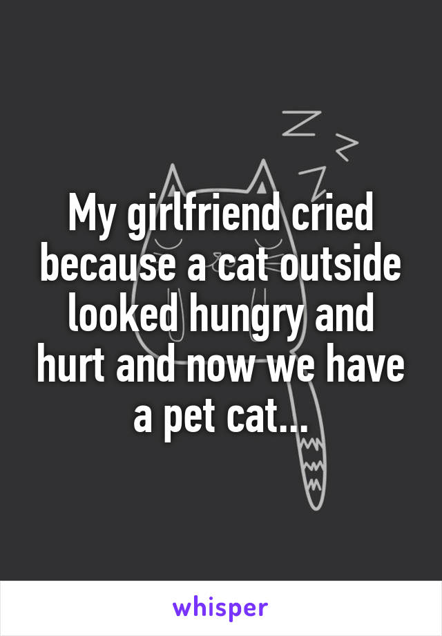 My girlfriend cried because a cat outside looked hungry and hurt and now we have a pet cat...