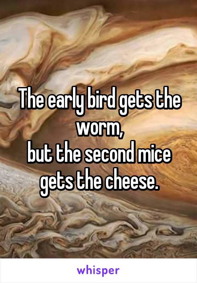 The early bird gets the worm,
but the second mice gets the cheese.