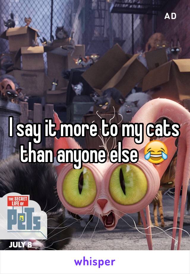 I say it more to my cats than anyone else 😂