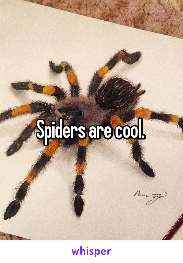 Spiders are cool. 