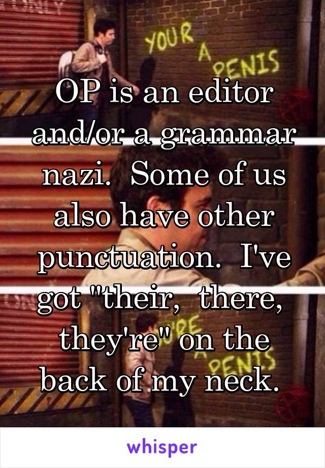 OP is an editor and/or a grammar nazi.  Some of us also have other punctuation.  I've got "their,  there,  they're" on the back of my neck. 