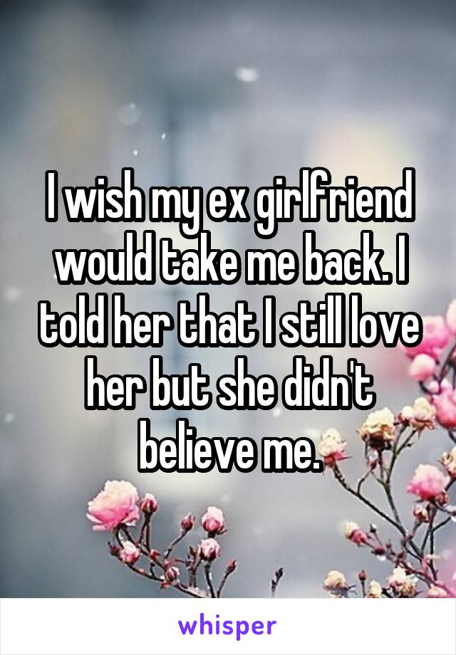 I wish my ex girlfriend would take me back. I told her that I still love her but she didn't believe me.
