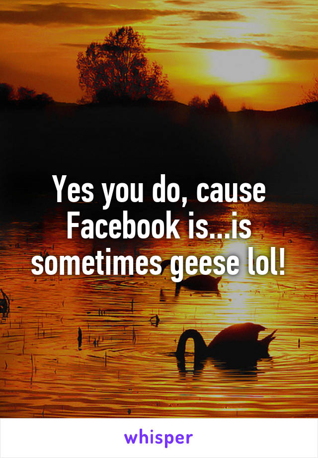 Yes you do, cause Facebook is...is sometimes geese lol!