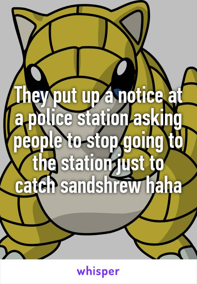 They put up a notice at a police station asking people to stop going to the station just to catch sandshrew haha