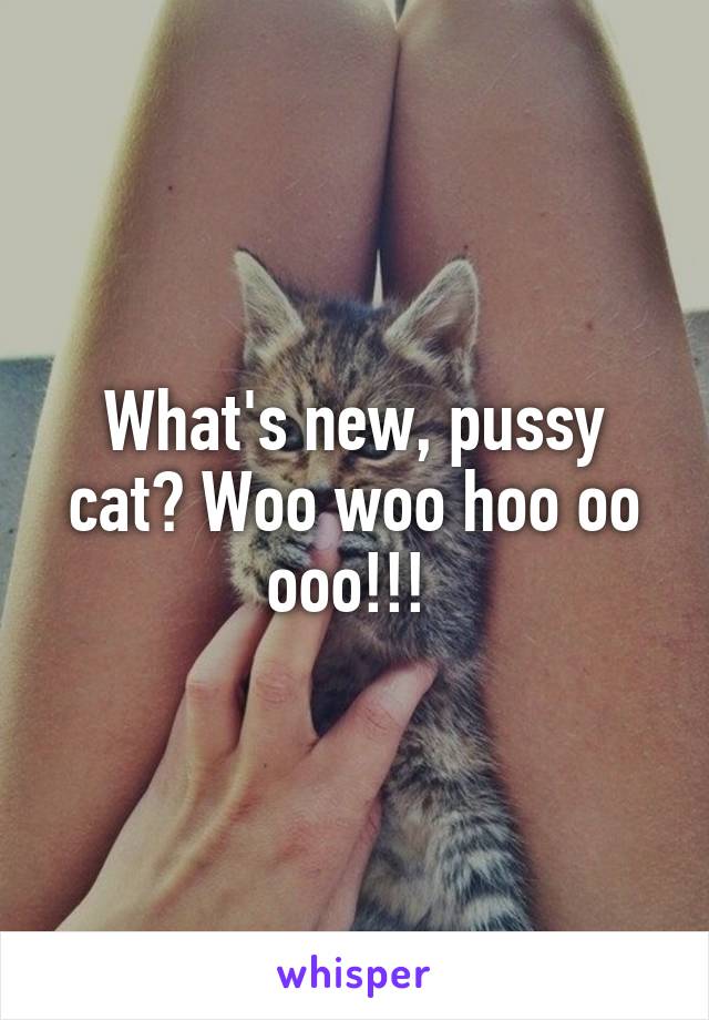 What's new, pussy cat? Woo woo hoo oo ooo!!! 