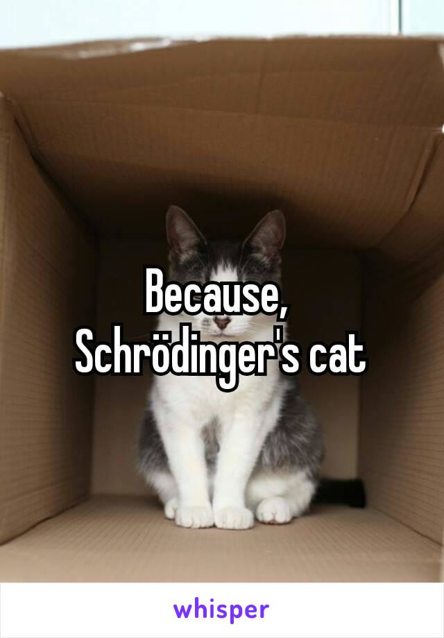 Because, 
Schrödinger's cat