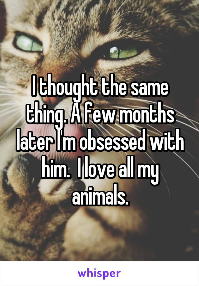 I thought the same thing. A few months later I'm obsessed with him.  I love all my animals.