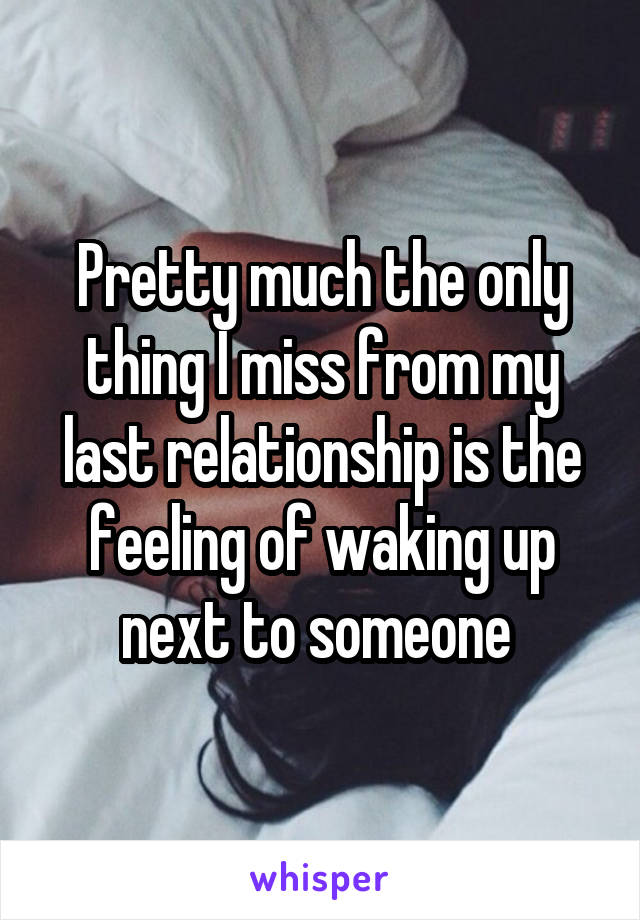 Pretty much the only thing I miss from my last relationship is the feeling of waking up next to someone 