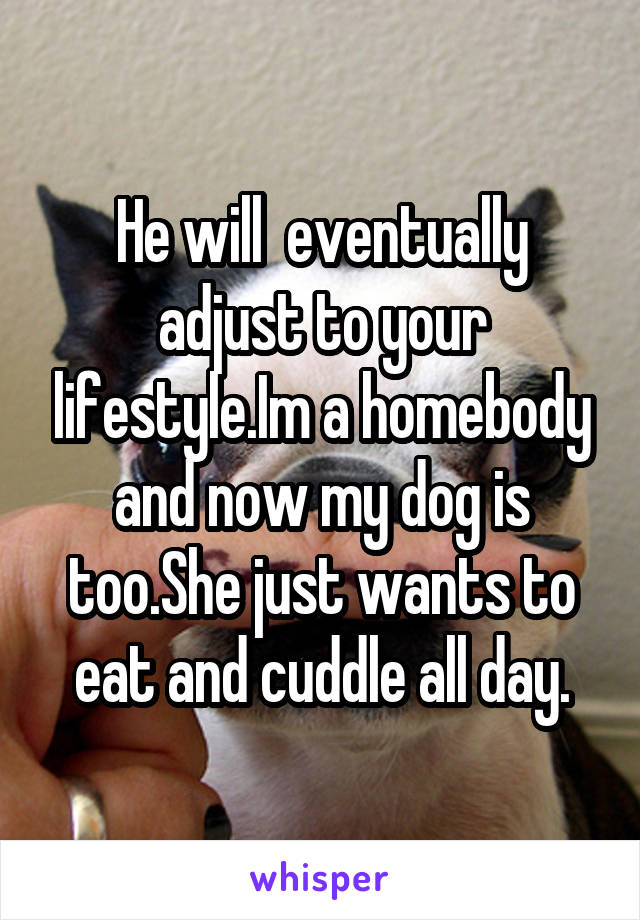 He will  eventually adjust to your lifestyle.Im a homebody and now my dog is too.She just wants to eat and cuddle all day.
