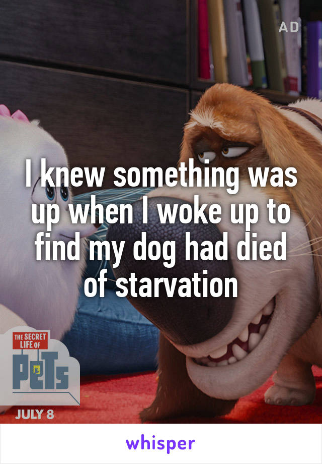 I knew something was up when I woke up to find my dog had died of starvation