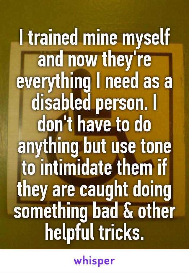 I trained mine myself and now they're everything I need as a disabled person. I don't have to do anything but use tone to intimidate them if they are caught doing something bad & other helpful tricks.