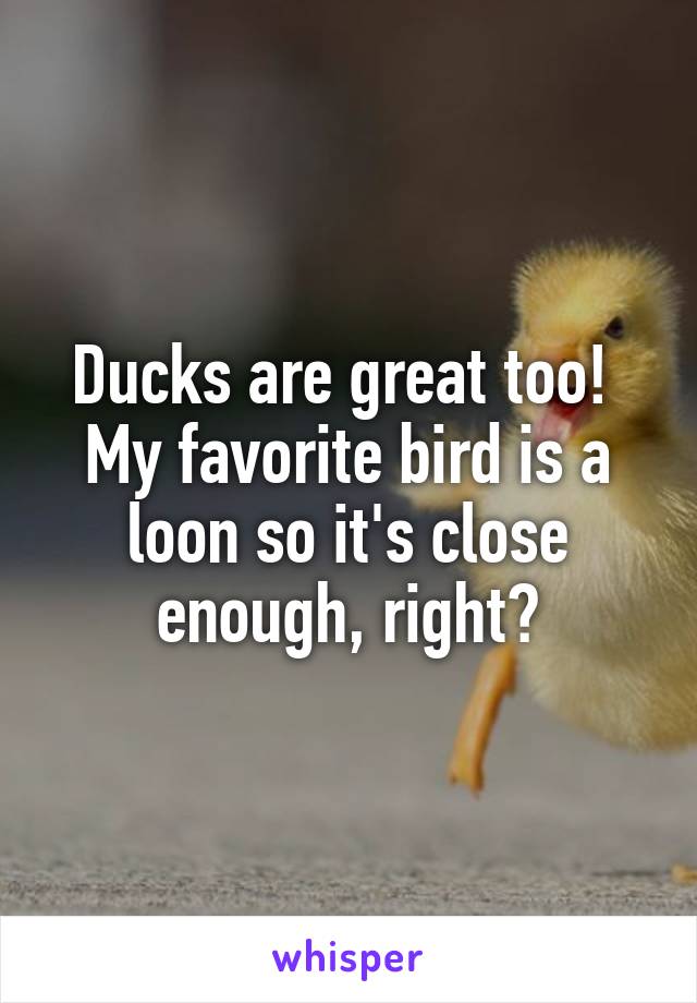 Ducks are great too! 
My favorite bird is a loon so it's close enough, right?