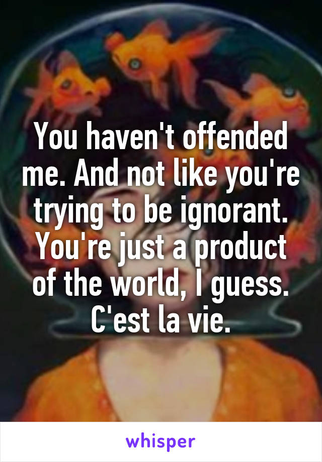 You haven't offended me. And not like you're trying to be ignorant. You're just a product of the world, I guess. C'est la vie.