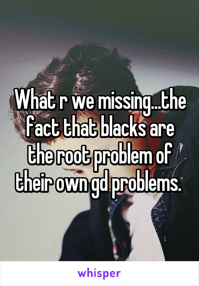 What r we missing...the fact that blacks are the root problem of their own gd problems. 