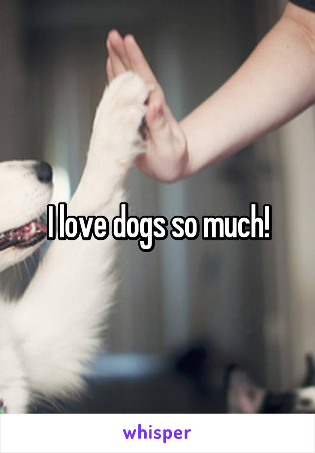 I love dogs so much!