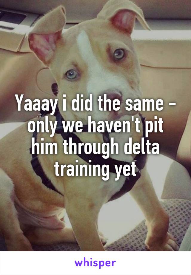 Yaaay i did the same - only we haven't pit him through delta training yet