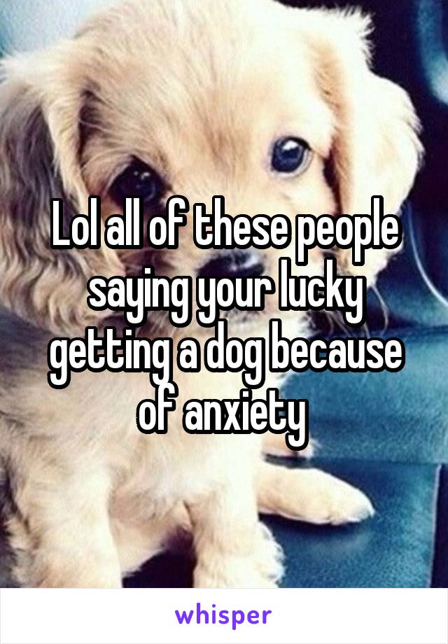 Lol all of these people saying your lucky getting a dog because of anxiety 