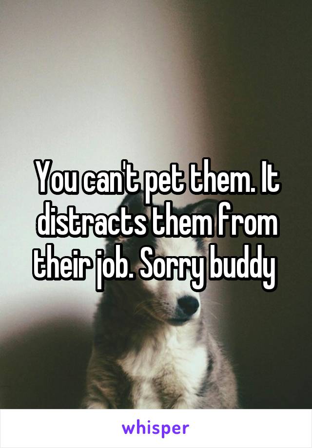 You can't pet them. It distracts them from their job. Sorry buddy 