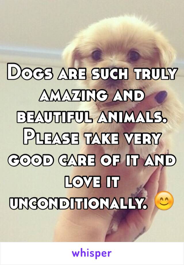 Dogs are such truly amazing and beautiful animals. Please take very good care of it and love it unconditionally. 😊