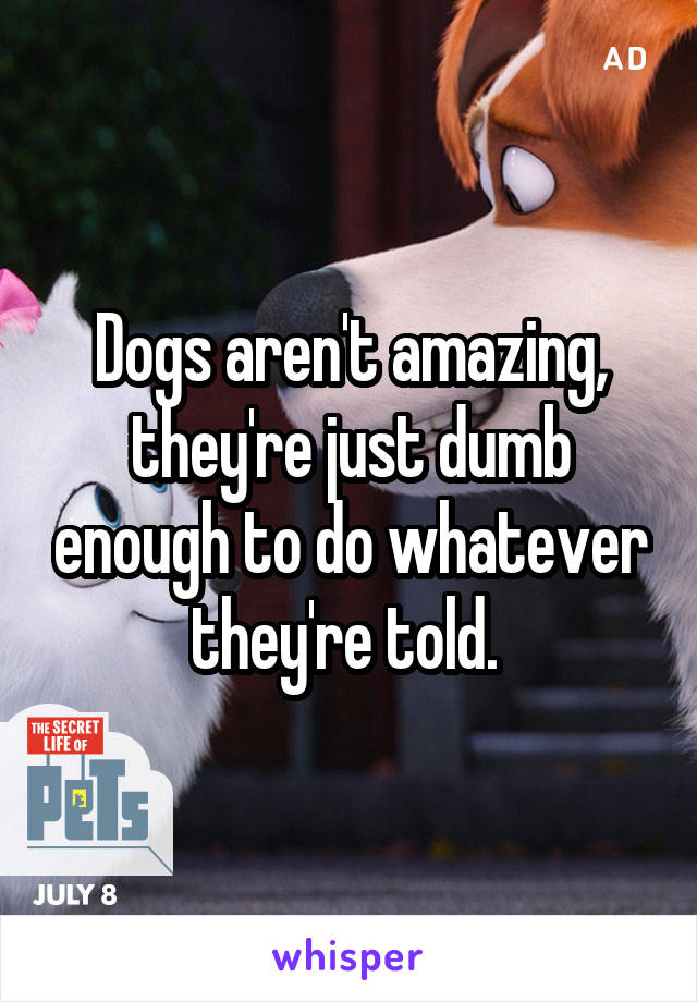 Dogs aren't amazing, they're just dumb enough to do whatever they're told. 