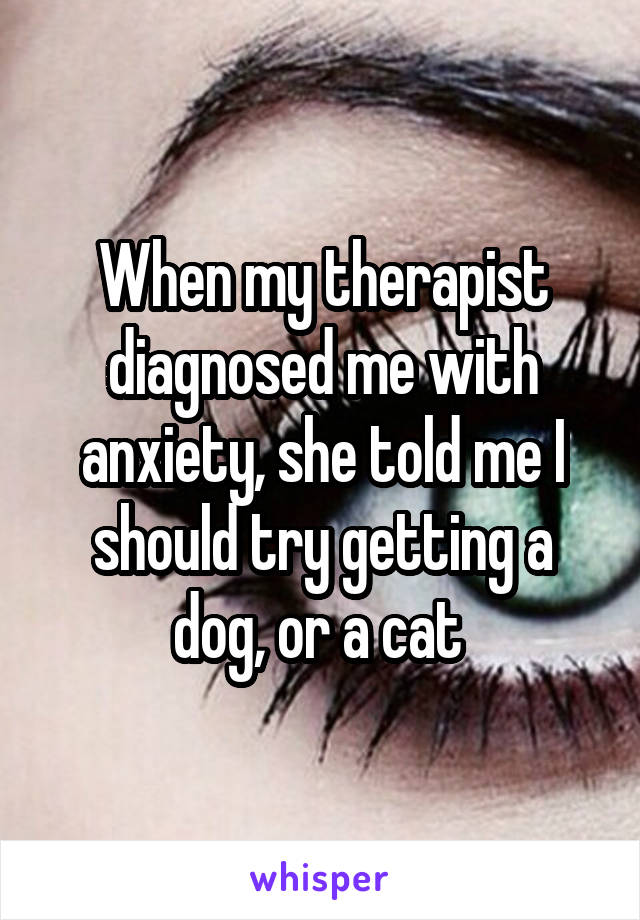 When my therapist diagnosed me with anxiety, she told me I should try getting a dog, or a cat 