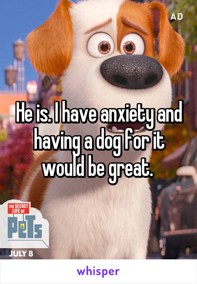 He is. I have anxiety and having a dog for it would be great. 