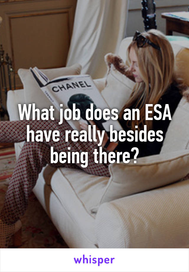 What job does an ESA have really besides being there?