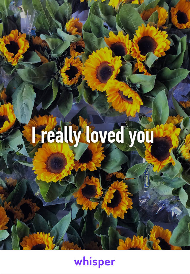 I really loved you 