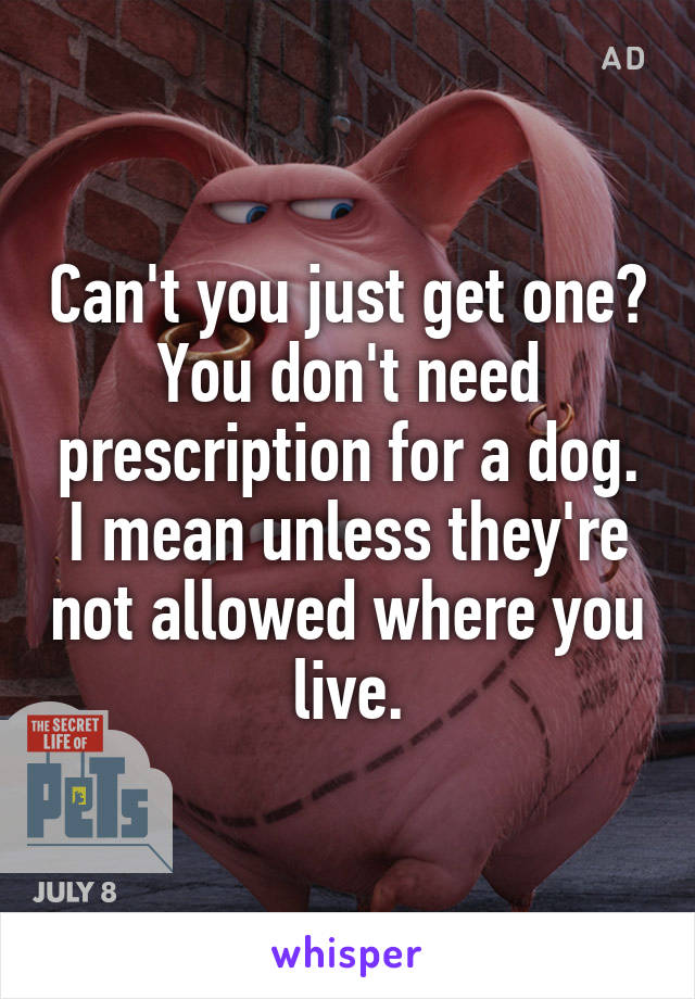 Can't you just get one? You don't need prescription for a dog. I mean unless they're not allowed where you live.