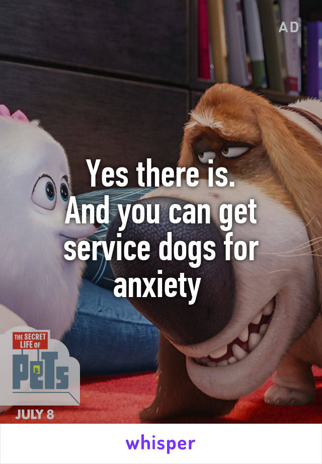 Yes there is.
And you can get service dogs for anxiety 