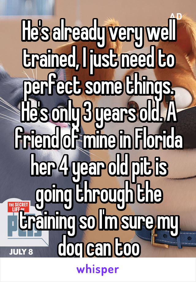 He's already very well trained, I just need to perfect some things. He's only 3 years old. A friend of mine in Florida her 4 year old pit is going through the training so I'm sure my dog can too