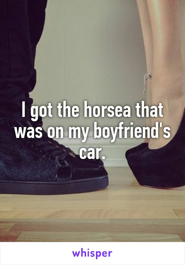 I got the horsea that was on my boyfriend's car.