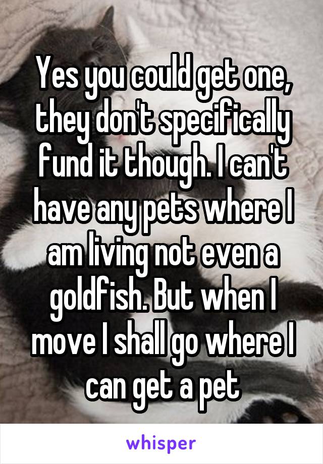 Yes you could get one, they don't specifically fund it though. I can't have any pets where I am living not even a goldfish. But when I move I shall go where I can get a pet