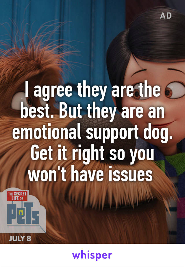 I agree they are the best. But they are an emotional support dog. Get it right so you won't have issues 