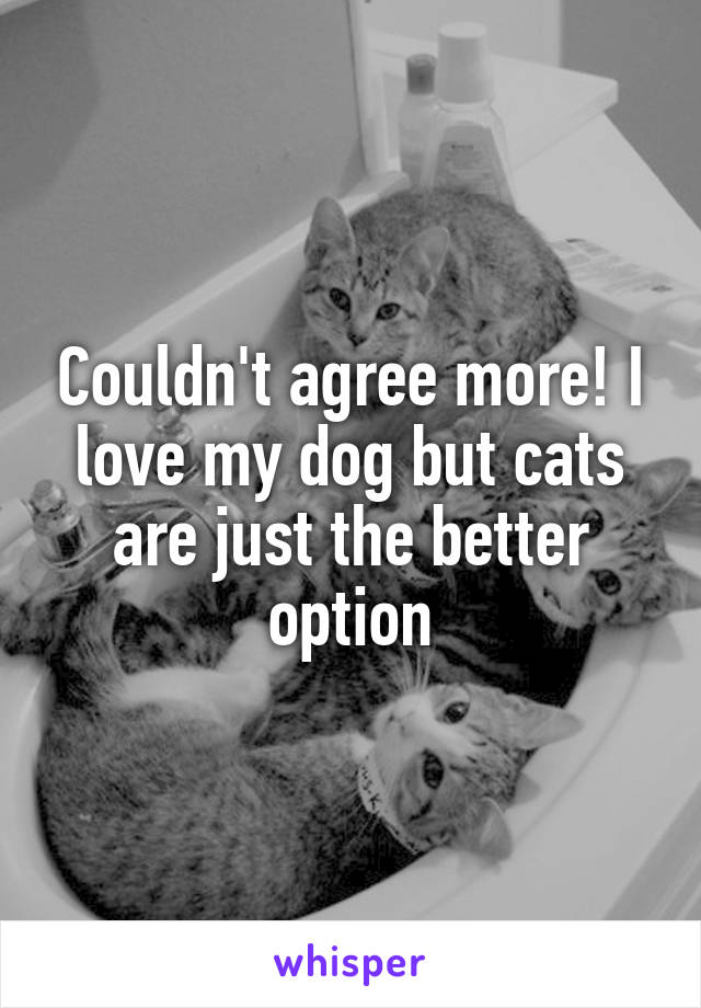 Couldn't agree more! I love my dog but cats are just the better option