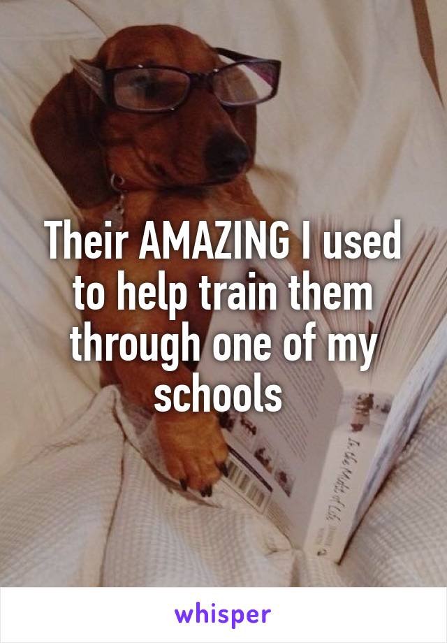 Their AMAZING I used to help train them through one of my schools 