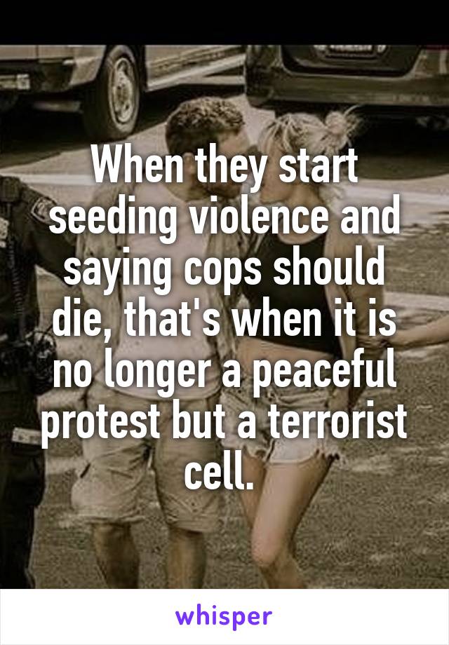 When they start seeding violence and saying cops should die, that's when it is no longer a peaceful protest but a terrorist cell. 