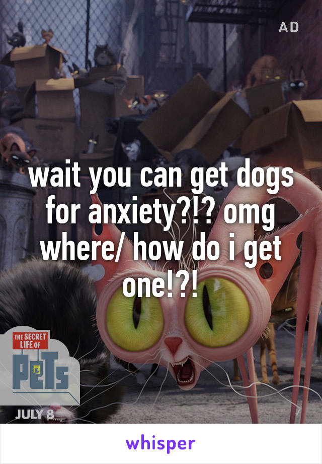 wait you can get dogs for anxiety?!? omg where/ how do i get one!?!